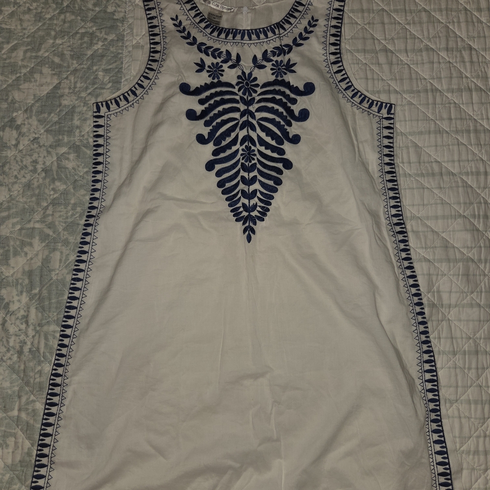 White and Blue Embroidered Dress